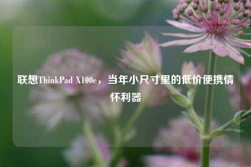 联想ThinkPad X100e,当年小尺寸里的低价便携情怀利器