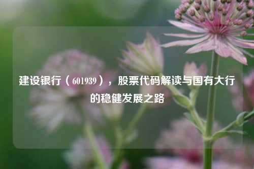 建设银行(601939),股票代码解读与国有大行的稳健发展之路