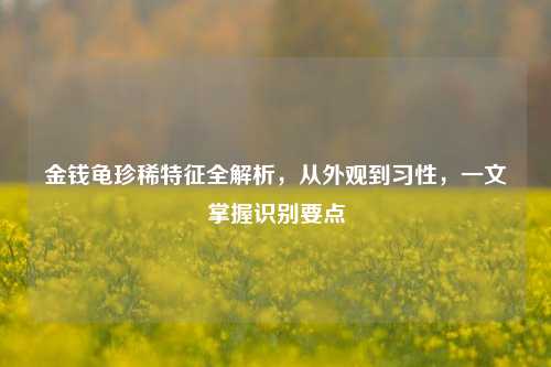 金钱龟珍稀特征全解析,从外观到习性,一文掌握识别要点