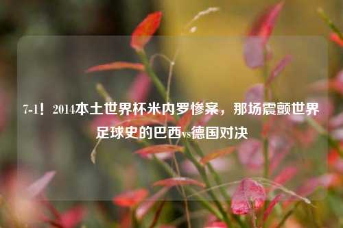 7-1!2014本土世界杯米内罗惨案,那场震颤世界足球史的巴西vs德国对决