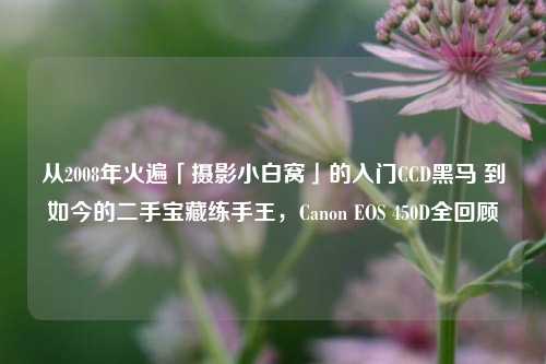 从2008年火遍「摄影小白窝」的入门CCD黑马 到如今的二手宝藏练手王,Canon EOS 450D全回顾