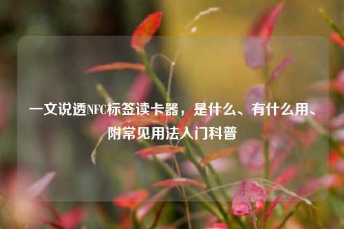 一文说透NFC标签读卡器,是什么、有什么用、附常见用法入门科普