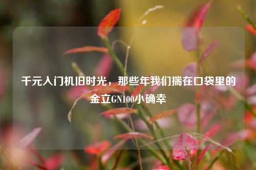 千元入门机旧时光,那些年我们揣在口袋里的金立GN100小确幸