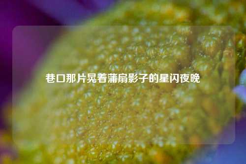 巷口那片晃着蒲扇影子的星闪夜晚