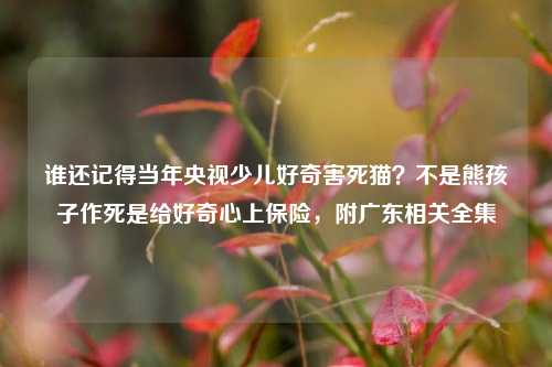 谁还记得当年央视少儿好奇害死猫?不是熊孩子作死是给好奇心上保险,附广东相关全集