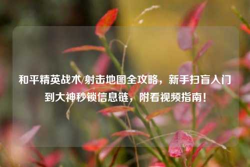 和平精英战术/射击地图全攻略，新手扫盲入门到大神秒锁信息链，附看视频指南！