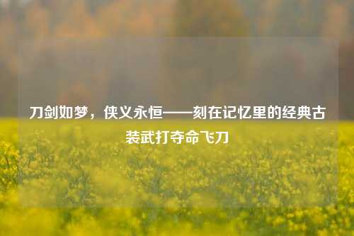 刀剑如梦,侠义永恒——刻在记忆里的经典古装武打夺命飞刀