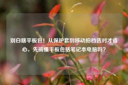 别白瞎平板包!从保护套到移动拍档选对才省心,先搞懂平板包括笔记本电脑吗?