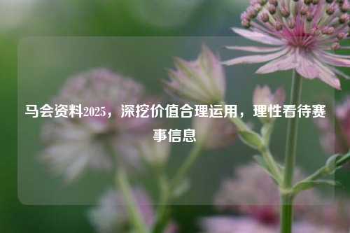 马会资料2025,深挖价值合理运用,理性看待赛事信息