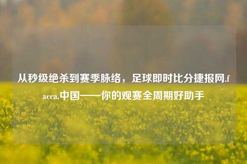 从秒级绝杀到赛季脉络,足球即时比分捷报网.facca.中国——你的观赛全周期好助手