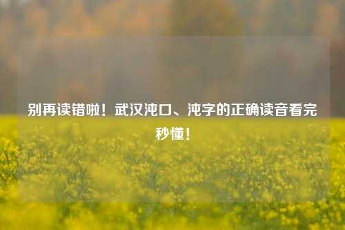 别再读错啦!武汉沌口、沌字的正确读音看完秒懂!