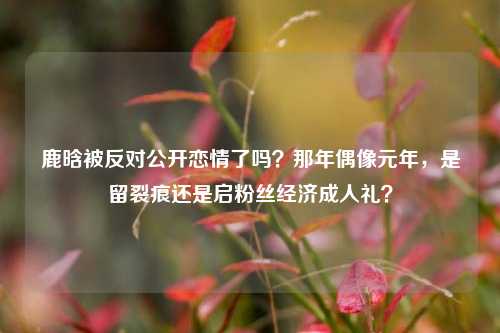 鹿晗被反对公开恋情了吗?那年偶像元年,是留裂痕还是启粉丝经济成人礼?