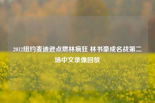 2012纽约麦迪逊点燃林疯狂 林书豪成名战第二场中文录像回放