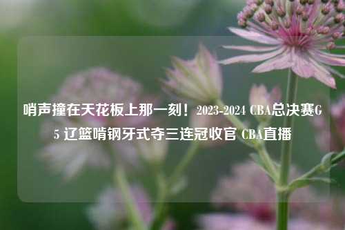 哨声撞在天花板上那一刻！2023-2024 CBA总决赛G5 辽篮啃钢牙式夺三连冠收官 CBA直播