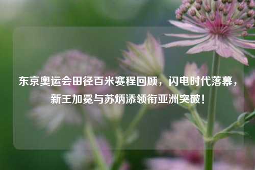 东京奥运会田径百米赛程回顾,闪电时代落幕,新王加冕与苏炳添领衔亚洲突破!