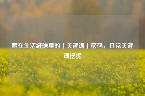 藏在生活缝隙里的「关键词」密码,日常关键词挖掘