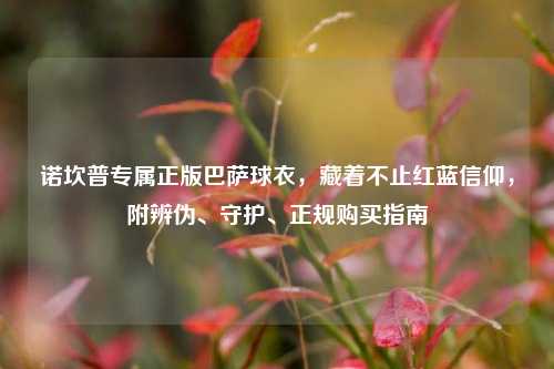 诺坎普专属正版巴萨球衣,藏着不止红蓝信仰,附辨伪、守护、正规购买指南