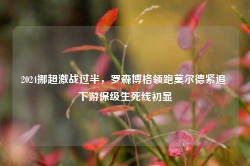 2024挪超激战过半,罗森博格领跑莫尔德紧追 下游保级生死线初显