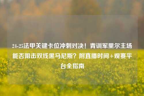 24-25法甲关键卡位冲刺对决!青训军里尔主场能否阻击双线黑马尼斯?附直播时间+观赛平台全指南