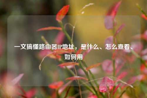 一文搞懂路由器IP地址,是什么、怎么查看、如何用