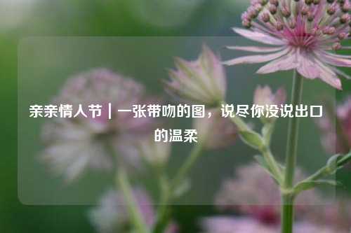 亲亲情人节|一张带吻的图,说尽你没说出口的温柔