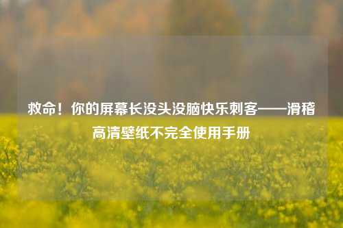 救命!你的屏幕长没头没脑快乐刺客——滑稽高清壁纸不完全使用手册