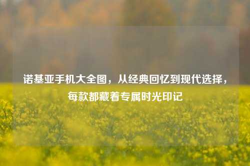 诺基亚手机大全图，从经典回忆到现代选择，每款都藏着专属时光印记