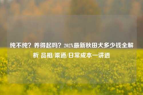 纯不纯？养得起吗？202X最新秋田犬多少钱全解析 品相/渠道/日常成本一讲透