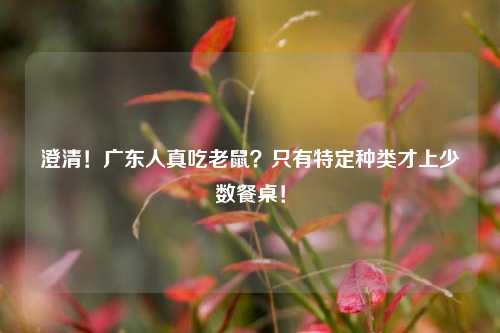 澄清！广东人真吃老鼠？只有特定种类才上少数餐桌！