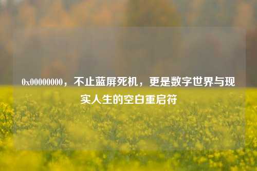 0x00000000,不止蓝屏死机,更是数字世界与现实人生的空白重启符