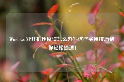 Windows XP开机速度慢怎么办？这些实用技巧帮你轻松提速！