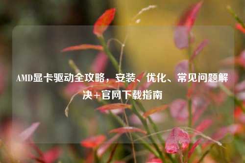 AMD显卡驱动全攻略，安装、优化、常见问题解决+官网下载指南