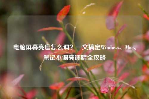电脑屏幕亮度怎么调？一文搞定Windows、Mac、笔记本调亮调暗全攻略