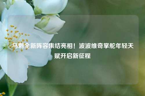 马刺全新阵容集结亮相！波波维奇掌舵年轻天赋开启新征程