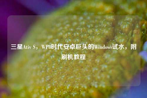 三星Ativ S,WP8时代安卓巨头的Windows试水,附刷机教程