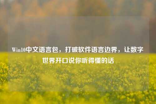 Win10中文语言包,打破软件语言边界,让数字世界开口说你听得懂的话
