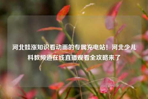 河北娃涨知识看动画的专属充电站!河北少儿科教频道在线直播观看全攻略来了