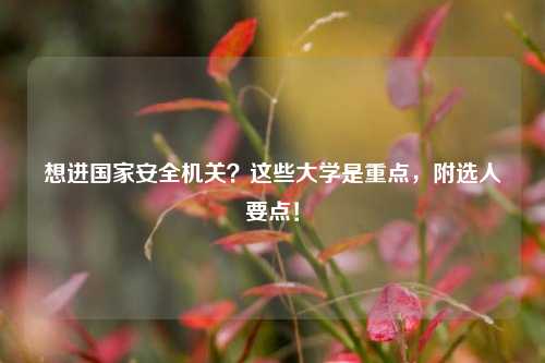 想进国家安全机关?这些大学是重点,附选人要点!