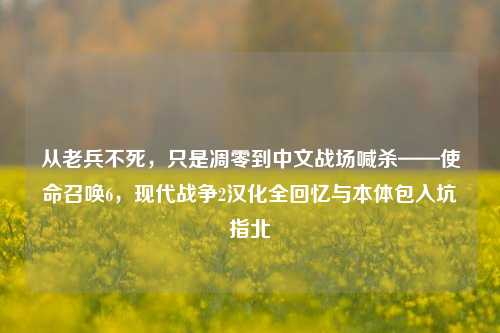 从老兵不死,只是凋零到中文战场喊杀——使命召唤6,现代战争2汉化全回忆与本体包入坑指北