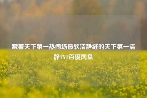 藏着天下第一热闹场最软清静缝的天下第一清静TXT百度网盘