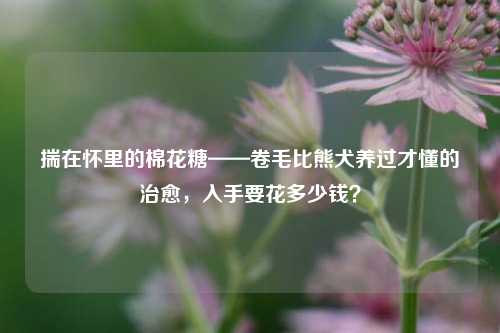 揣在怀里的棉花糖——卷毛比熊犬养过才懂的治愈,入手要花多少钱?