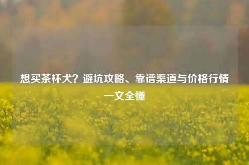 想买茶杯犬？避坑攻略、靠谱渠道与价格行情一文全懂