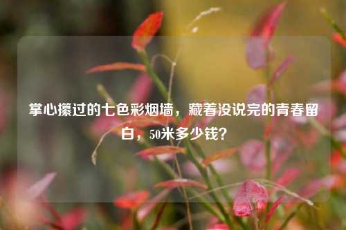 掌心攥过的七色彩烟墙,藏着没说完的青春留白,50米多少钱?