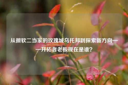 从微软二当家的玫瑰城乌托邦到探索新方向——开拓者老板现在是谁?