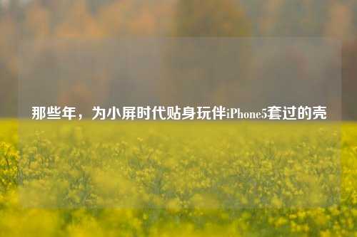 那些年，为小屏时代贴身玩伴iPhone5套过的壳
