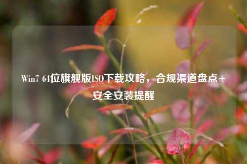 Win7 64位旗舰版ISO下载攻略,合规渠道盘点+安全安装提醒