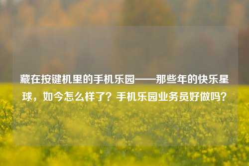 藏在按键机里的手机乐园——那些年的快乐星球,如今怎么样了?手机乐园业务员好做吗?