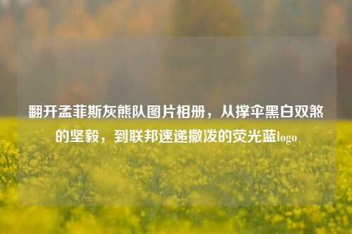 翻开孟菲斯灰熊队图片相册,从撑伞黑白双煞的坚毅,到联邦速递撒泼的荧光蓝logo