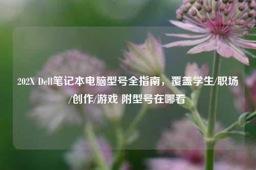 202X Dell笔记本电脑型号全指南,覆盖学生/职场/创作/游戏 附型号在哪看