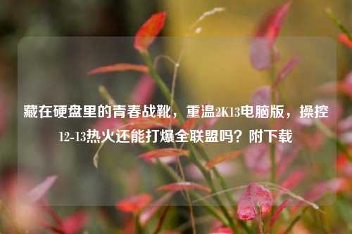 藏在硬盘里的青春战靴,重温2K13电脑版,操控12-13热火还能打爆全联盟吗?附下载